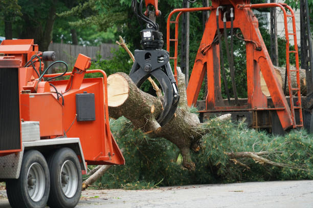 Best Lawn Irrigation Installation and Maintenance  in Broad Creek, NC